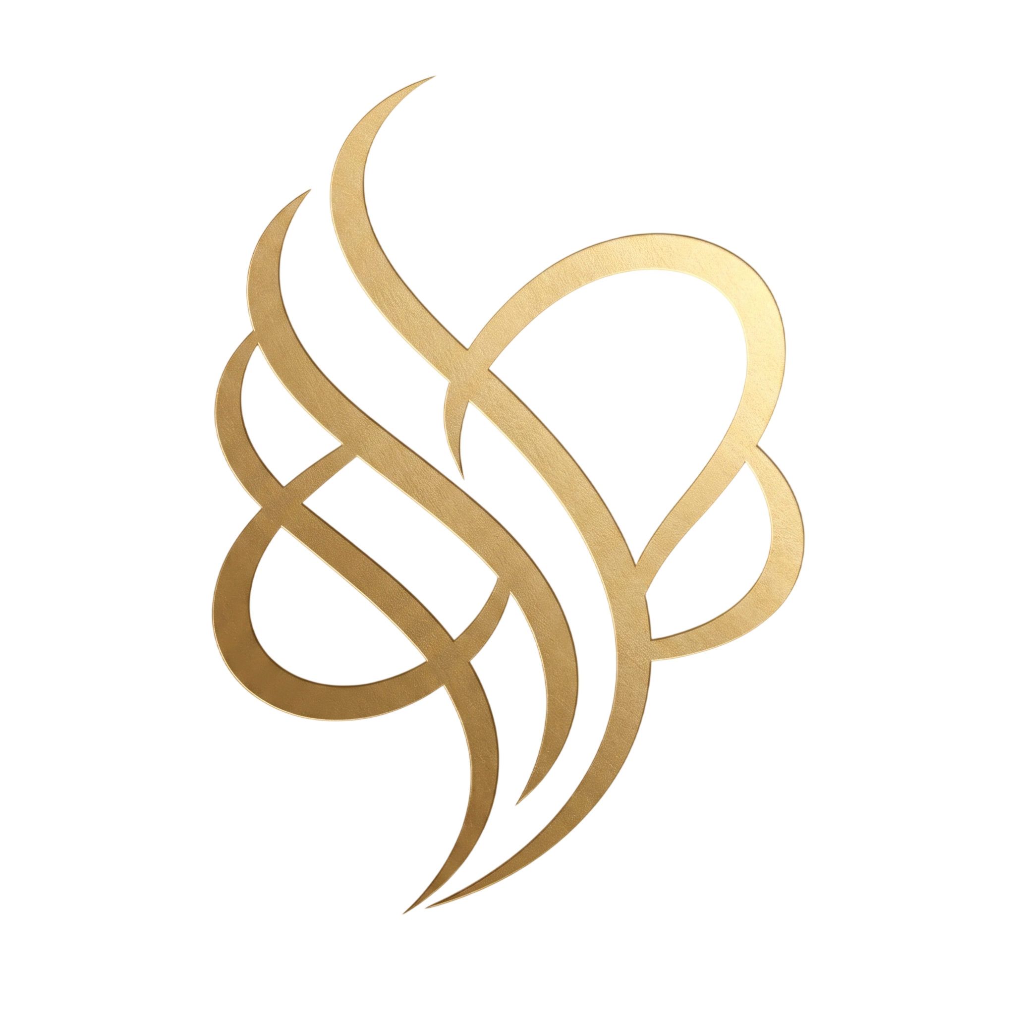 Soultatva logo